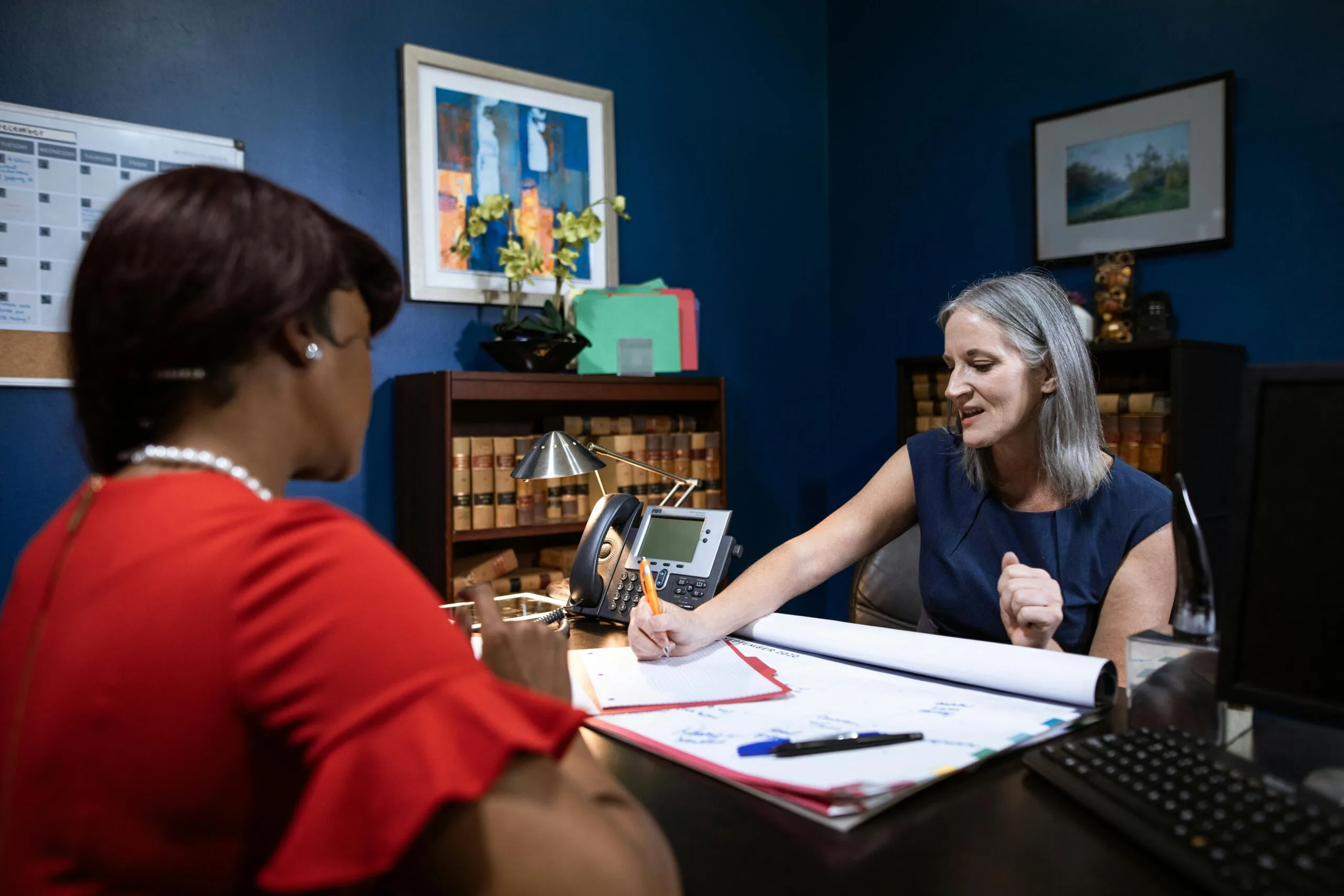 Telephone consumer protection