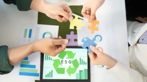 When third party collectors join the picture