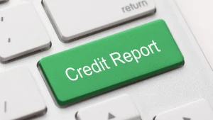 If Payliance Inc appears on your credit report