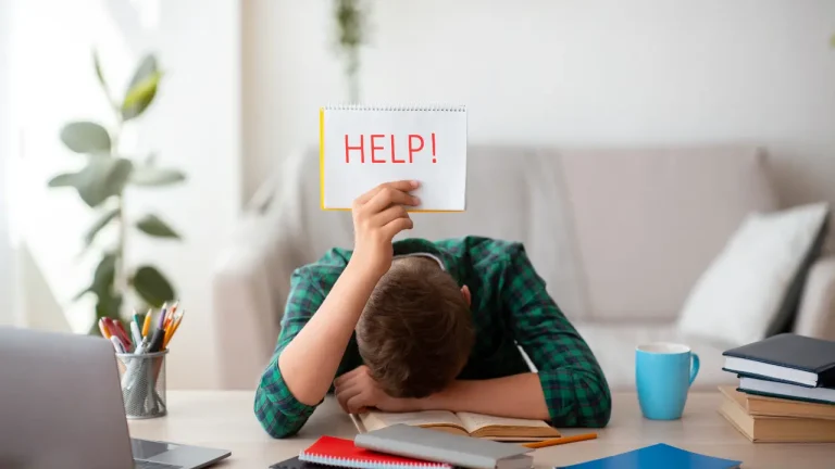 Recovery One LLC Harassment Help Guide