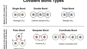 Why Overland Bond & Investment Is Contacting You